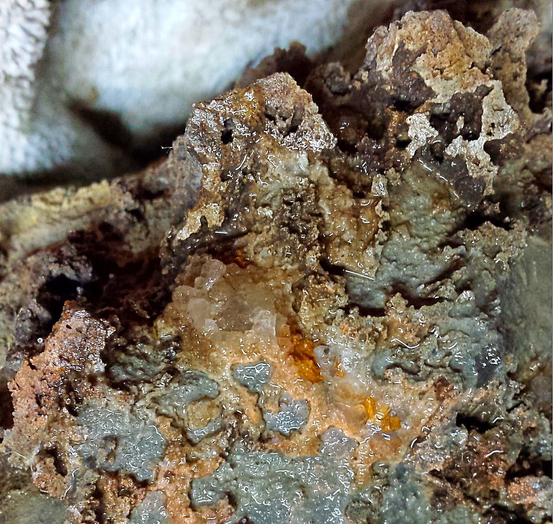 Crinoid Limestone Rock Tumbling Hobby